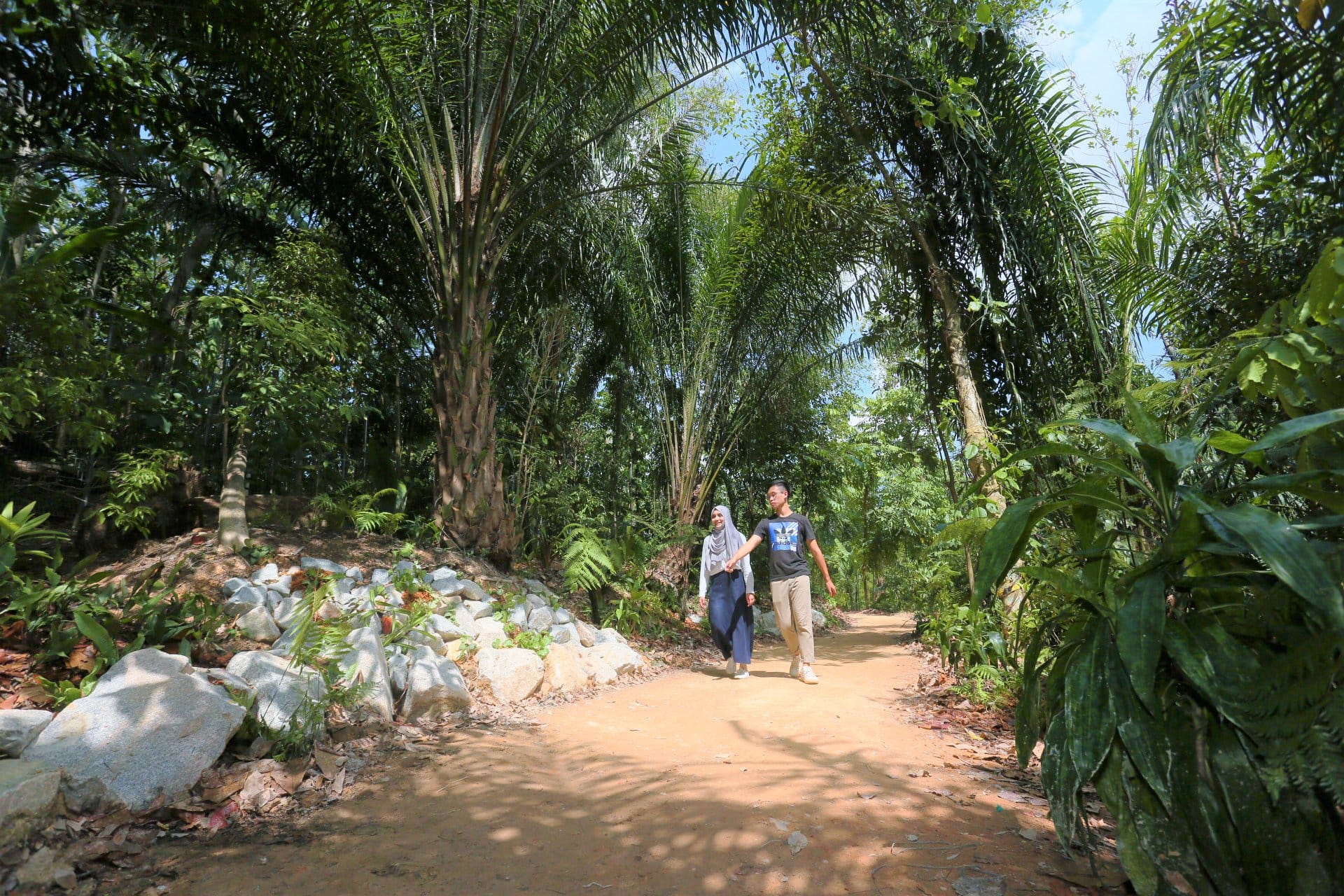 Two people walking along a dirt path surrounded by tall palm trees and dense greenery.